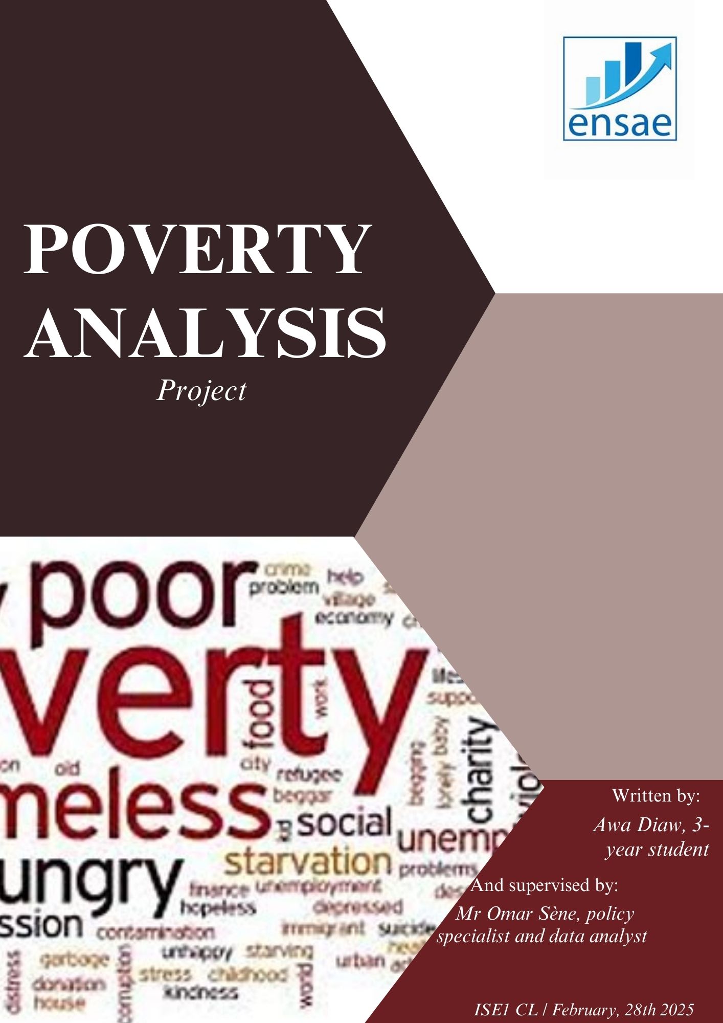 Poverty Analysis report preview