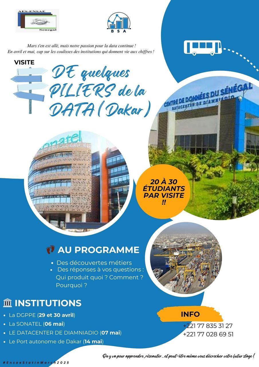 Visite institution flyer preview