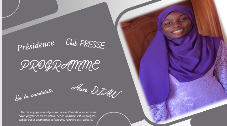 Program preview